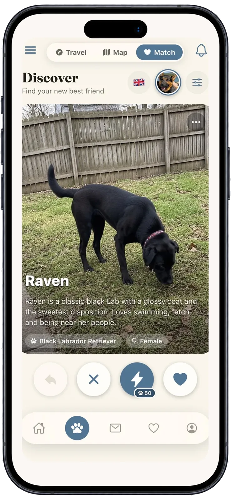 Discover screen — swipe nearby pets