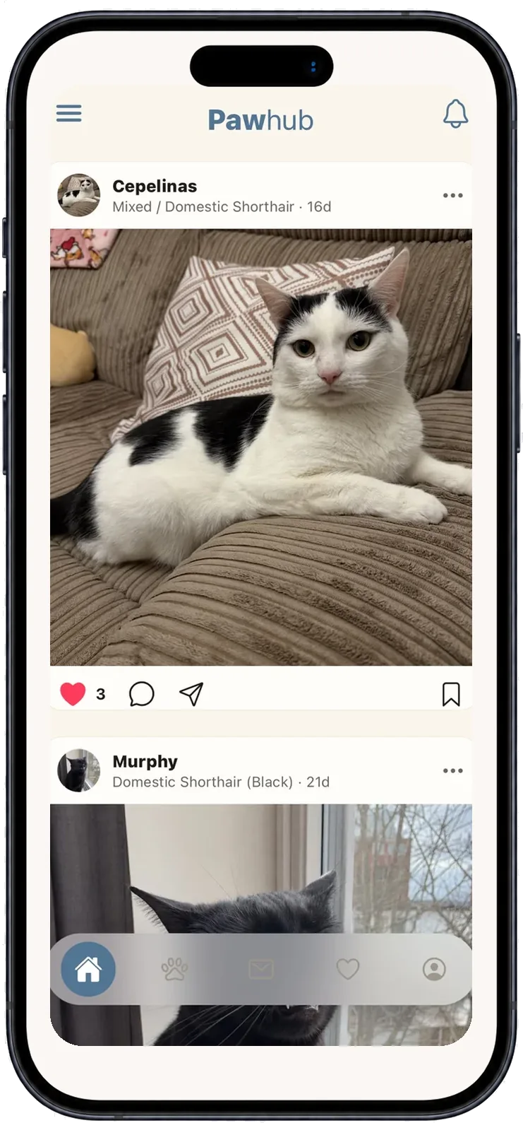 Feed screen — share your pet's moments