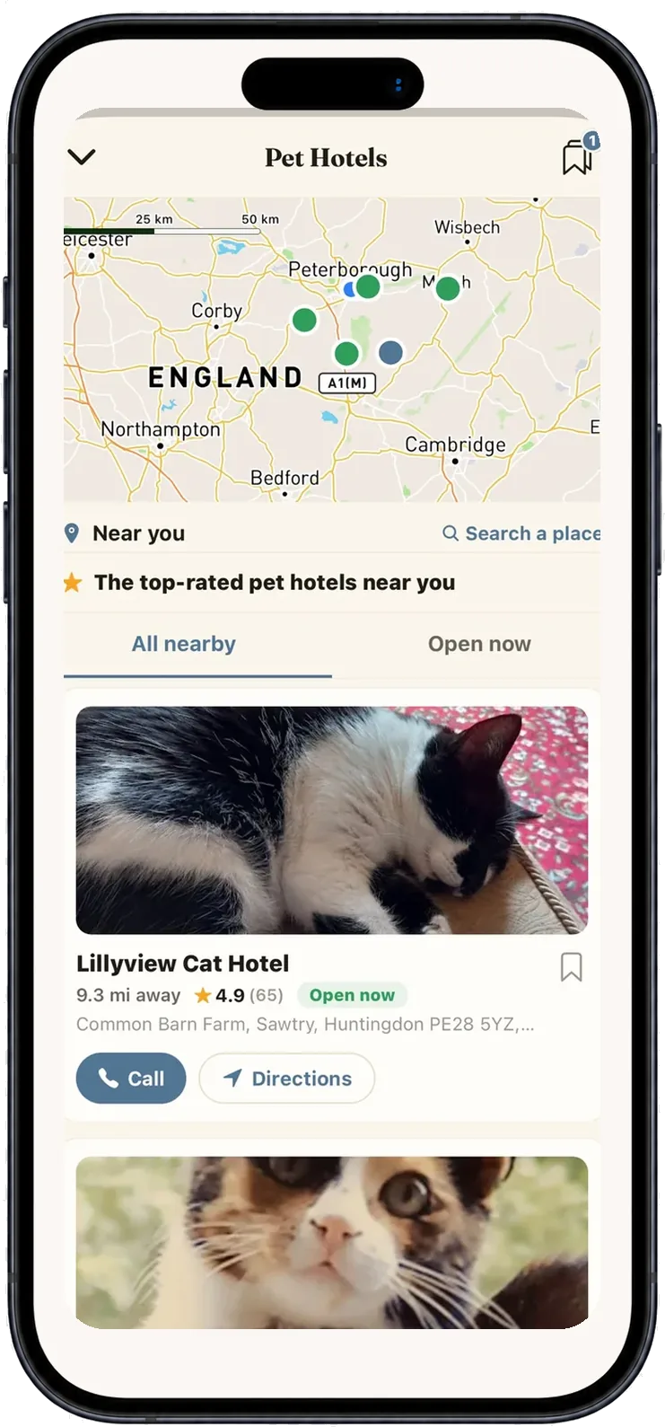 Hotels screen — pet hotels nearby