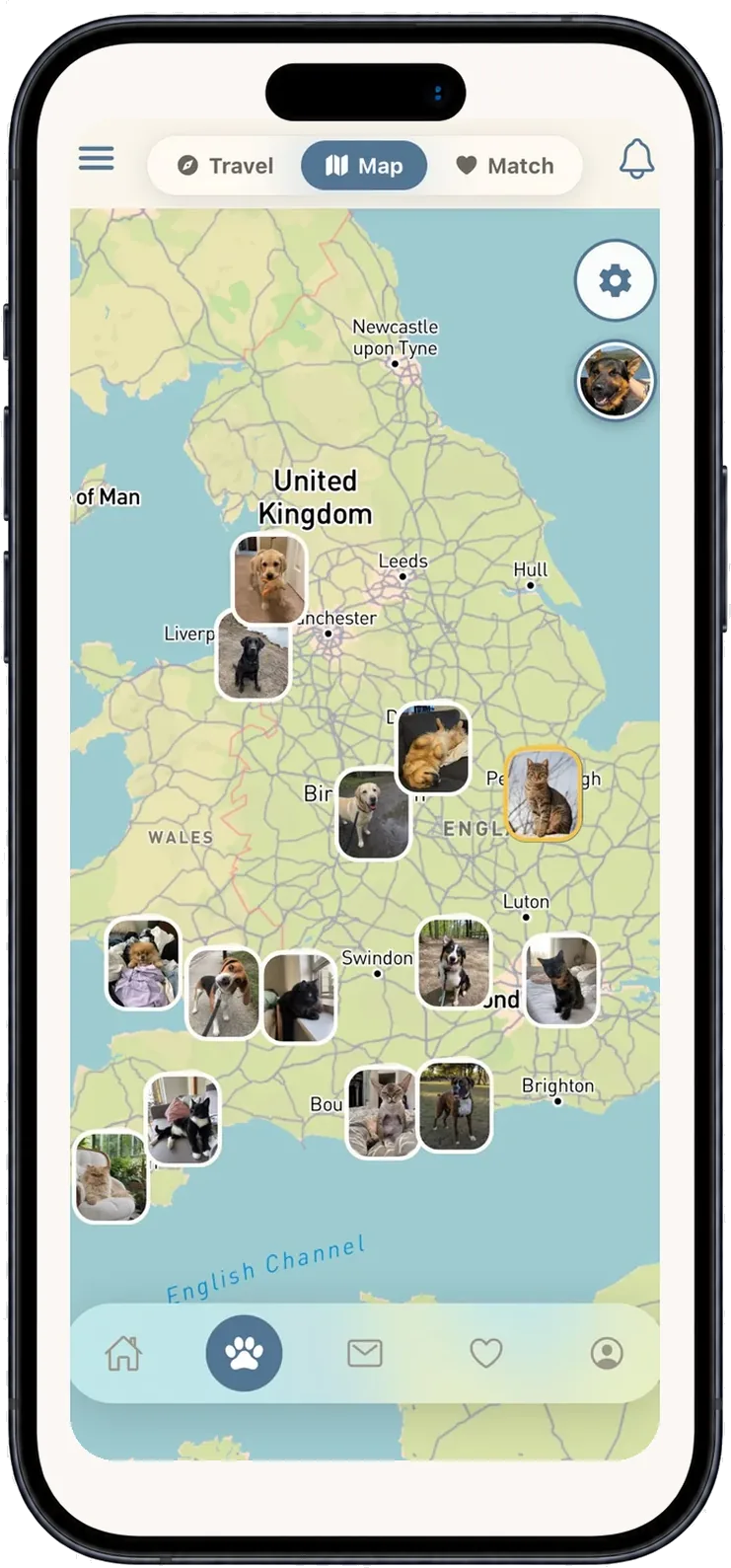 Map screen — pets near you
